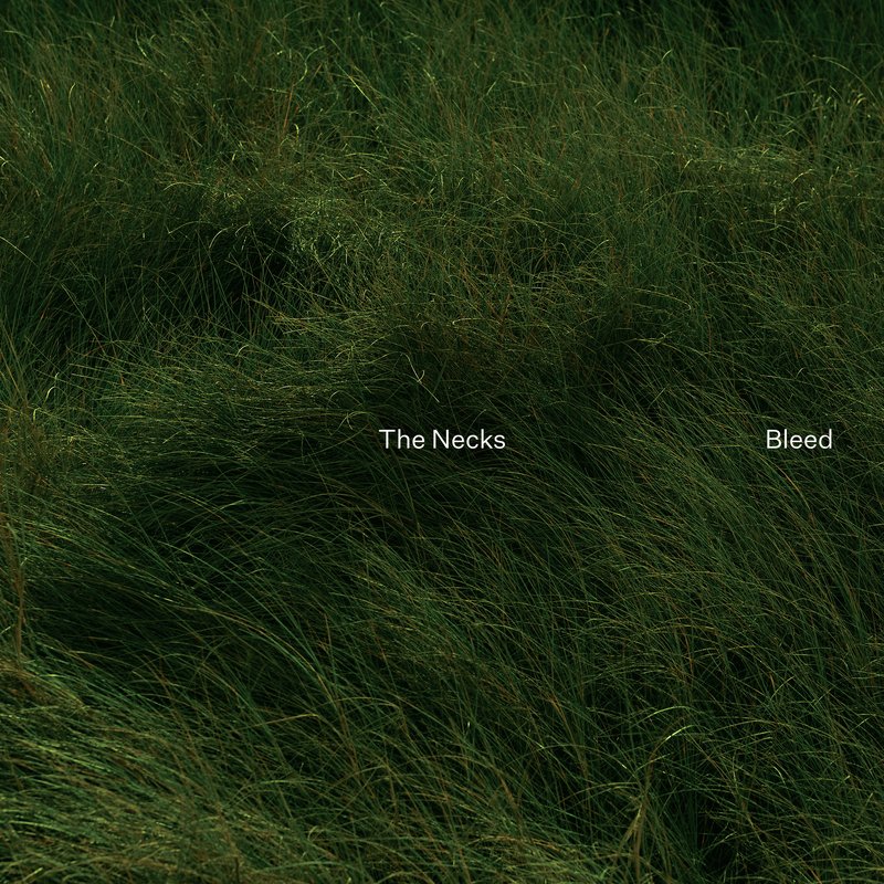 13 the necks